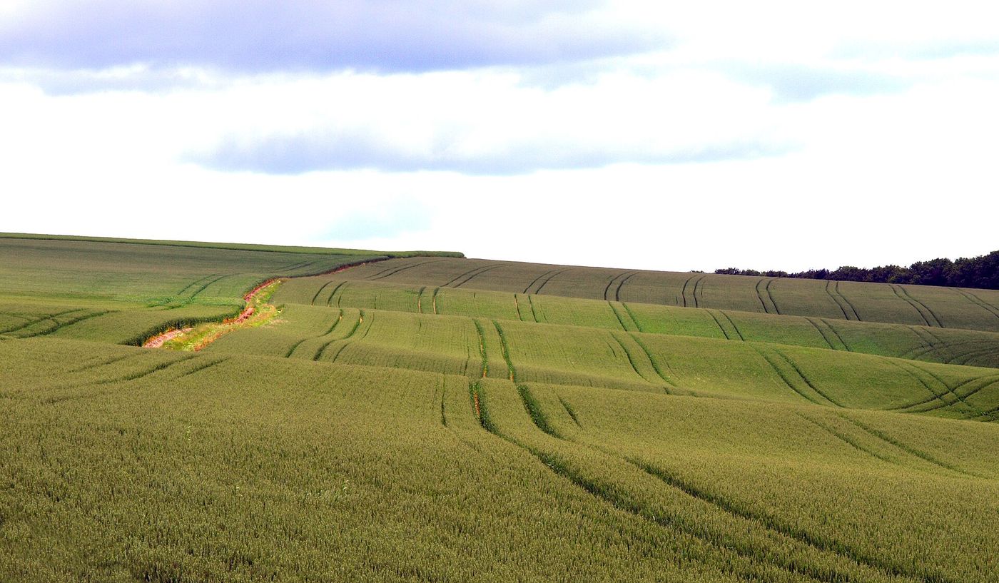 A tractor at work on the Lincolnshire Wolds. A guidance unit on a modern tractor can be worth £15,000.