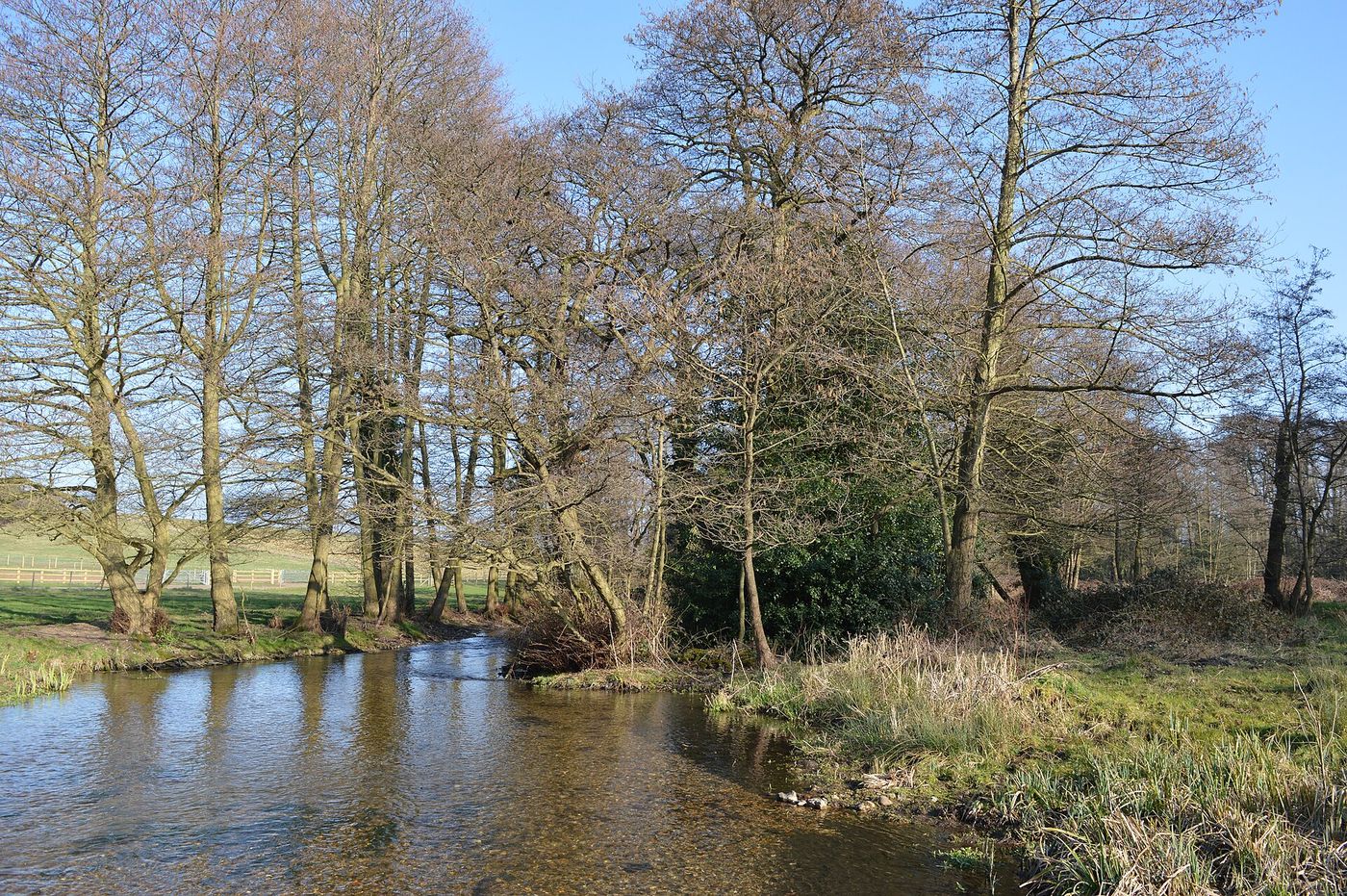 The River Mimram near Tewin, Hertfordshire, one of the chalk streams covered by the order.