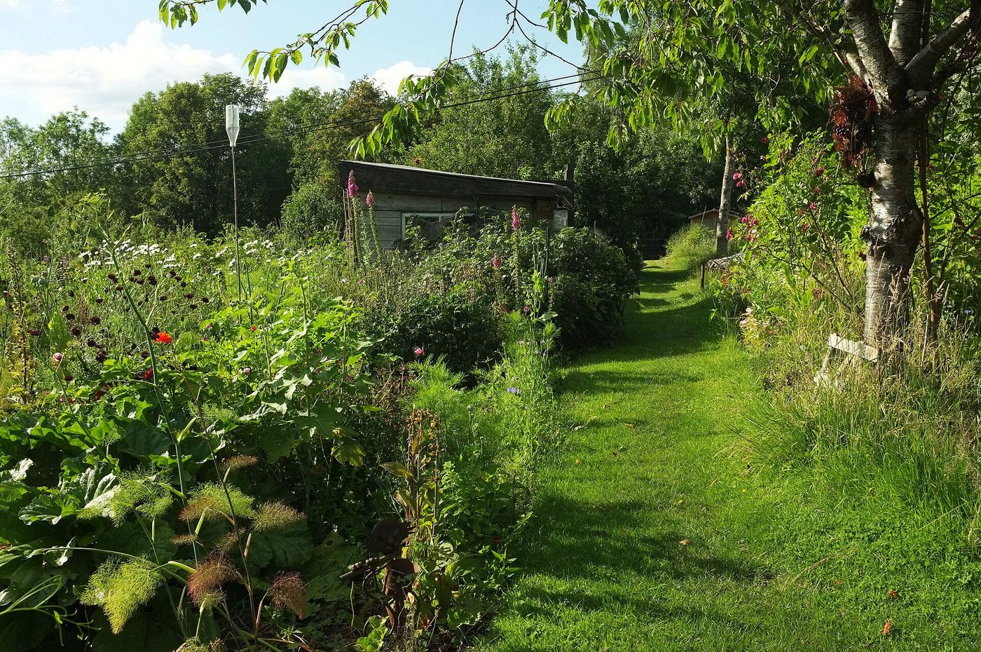 Allotment sheds on a plot in the West Midlands; the series was filmed on a real site outside Walsall.