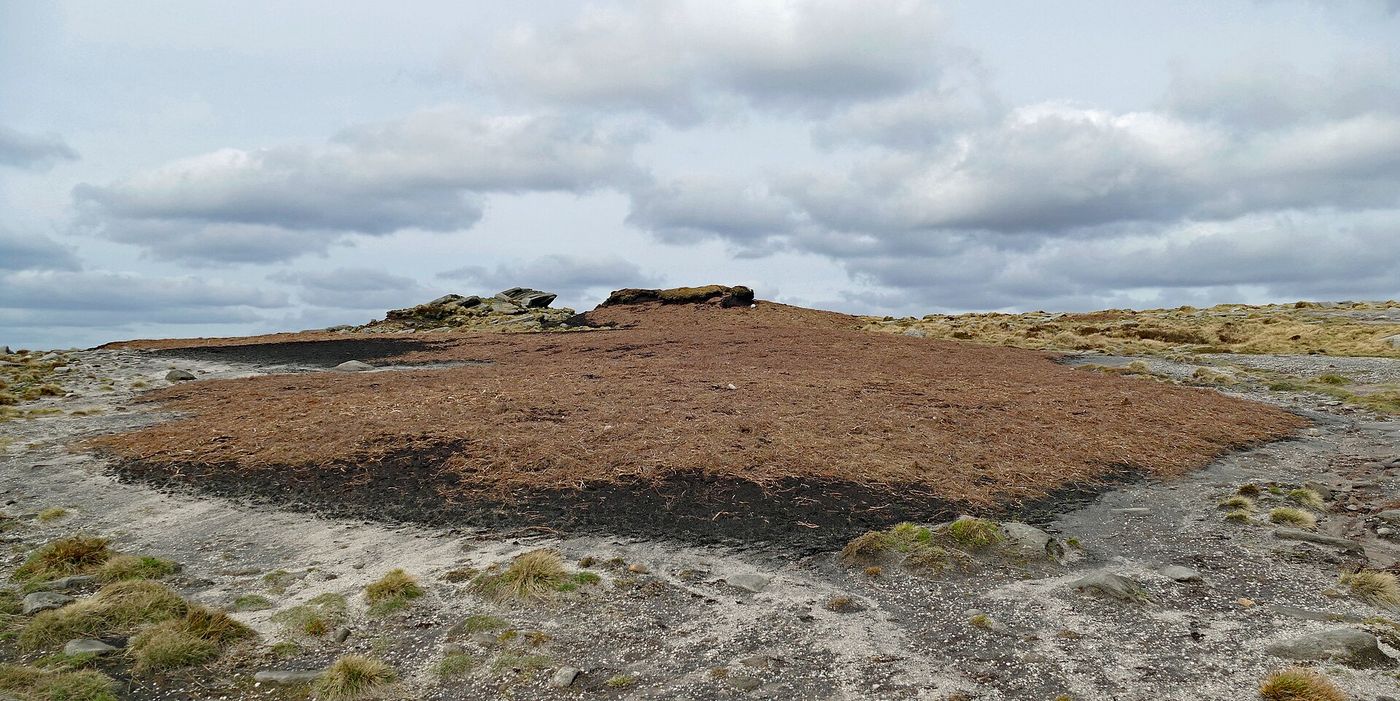 Peat moorland in the Peak District.