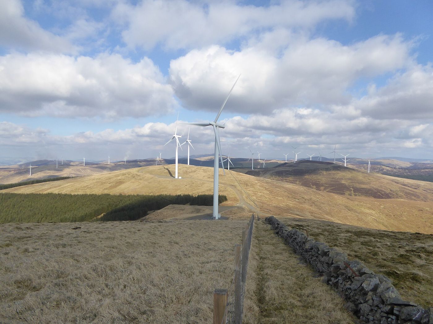 Onshore turbines on a hillside.
